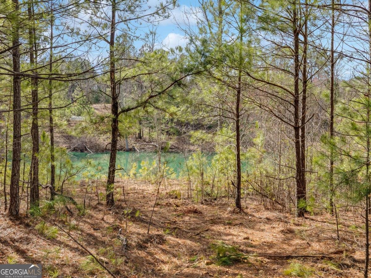 153 Clover Path Dallas - 41