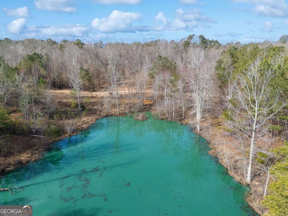 153 Clover Path Dallas - 46