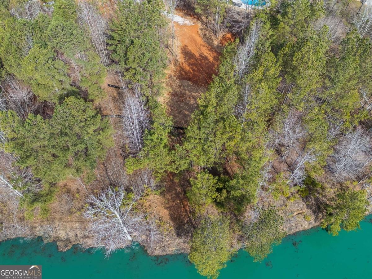 153 Clover Path Dallas - 48