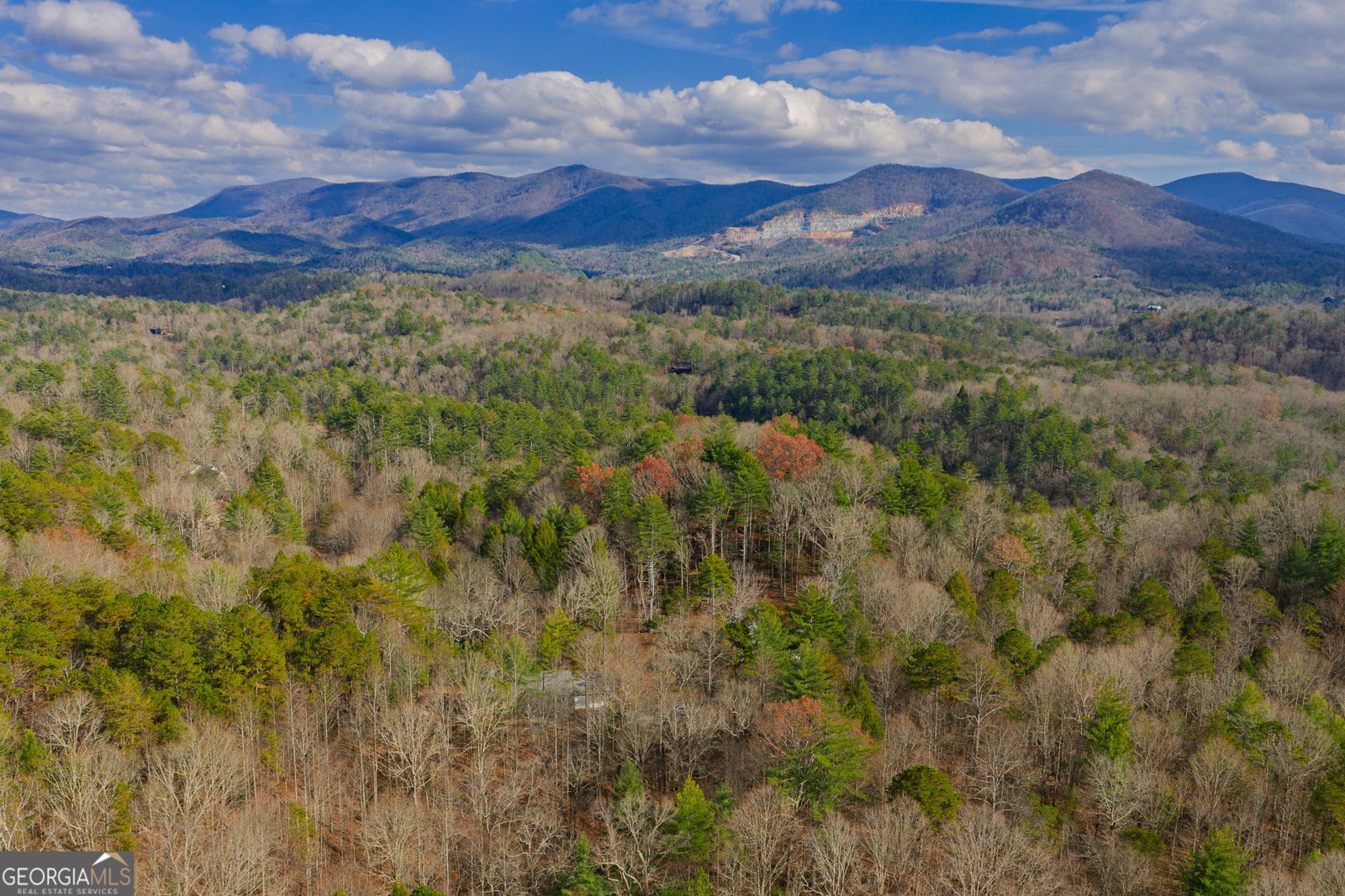 607 Satsuma Court Ellijay - Photo 45