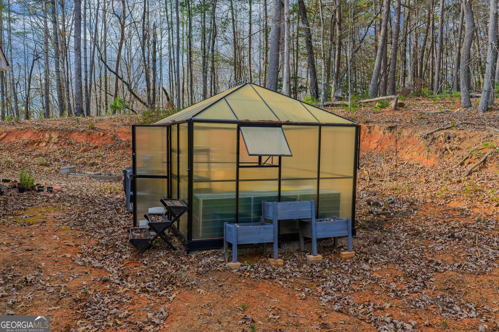 607 Satsuma Court Ellijay - 6