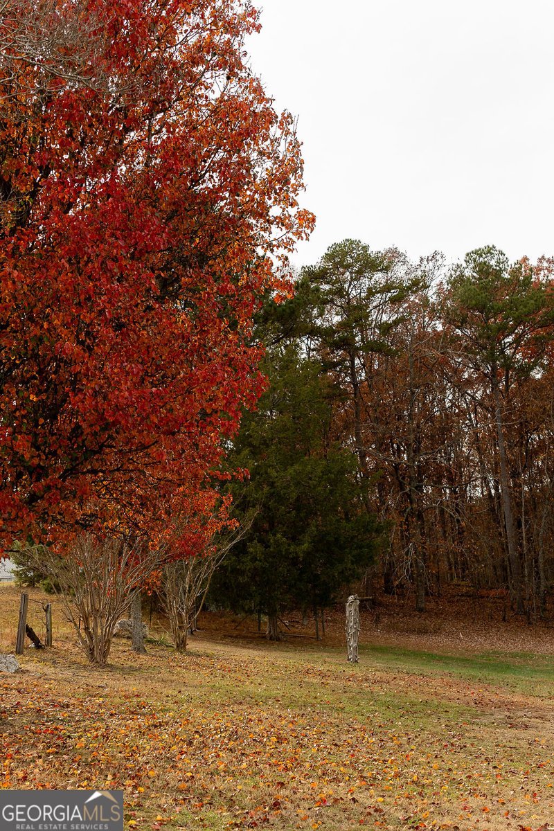 218 Golden Oaks Drive Lafayette - 7