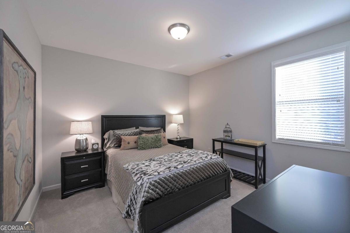 3355 Carolina Wren Trail Marietta - 12