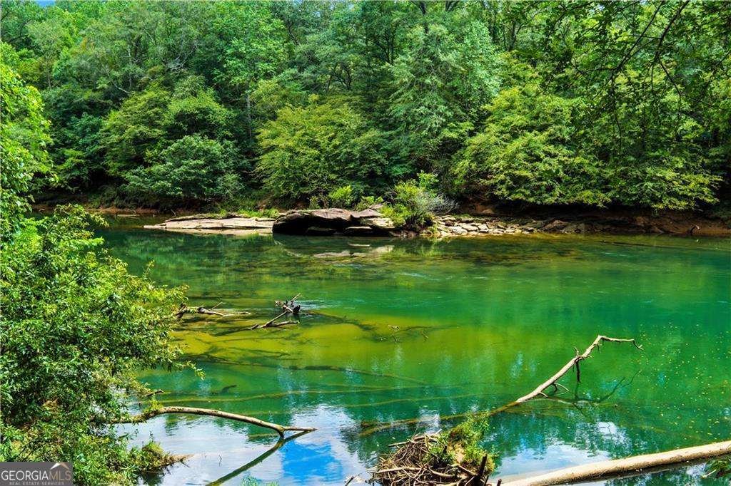 338 Grand Avenue Suwanee - 70