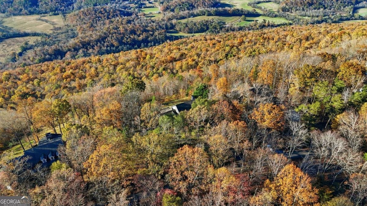 141 Brow Lake Road Lookout Mountain - 15