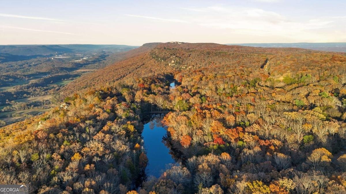 141 Brow Lake Road Lookout Mountain - 16