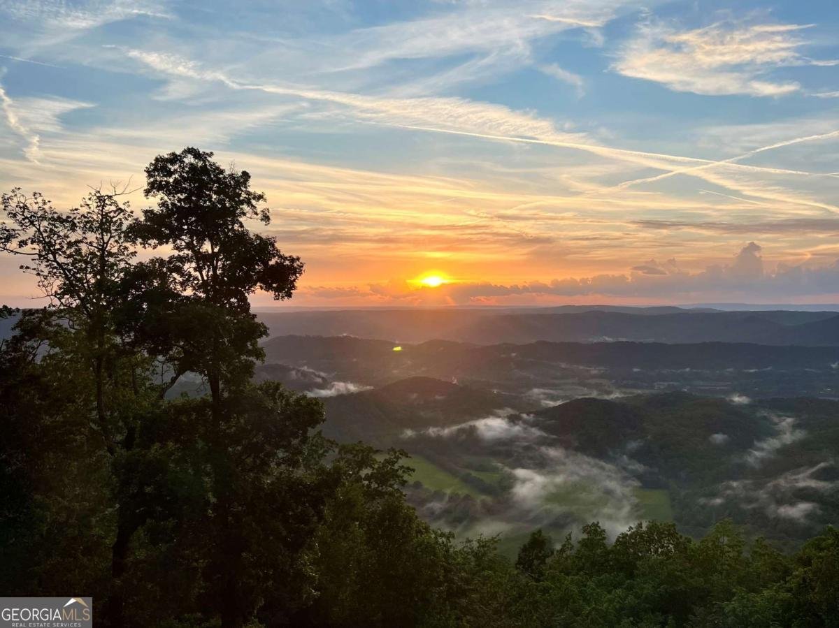 141 Brow Lake Road Lookout Mountain - 22