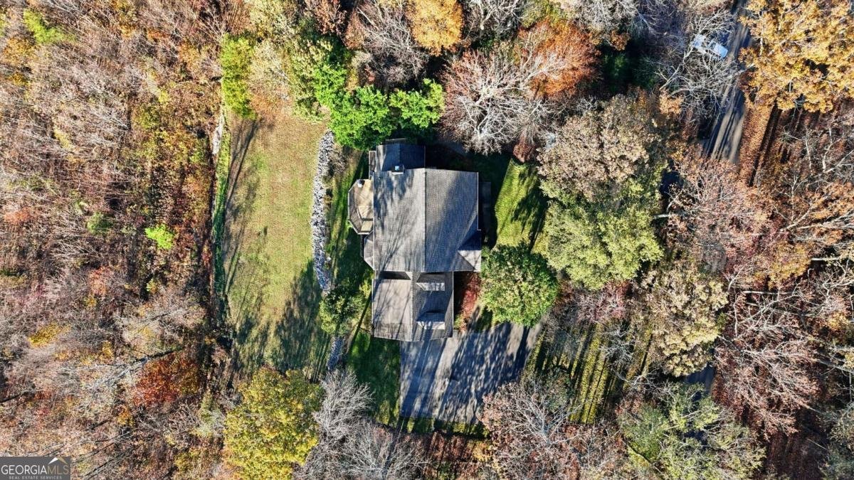 141 Brow Lake Road Lookout Mountain - 46