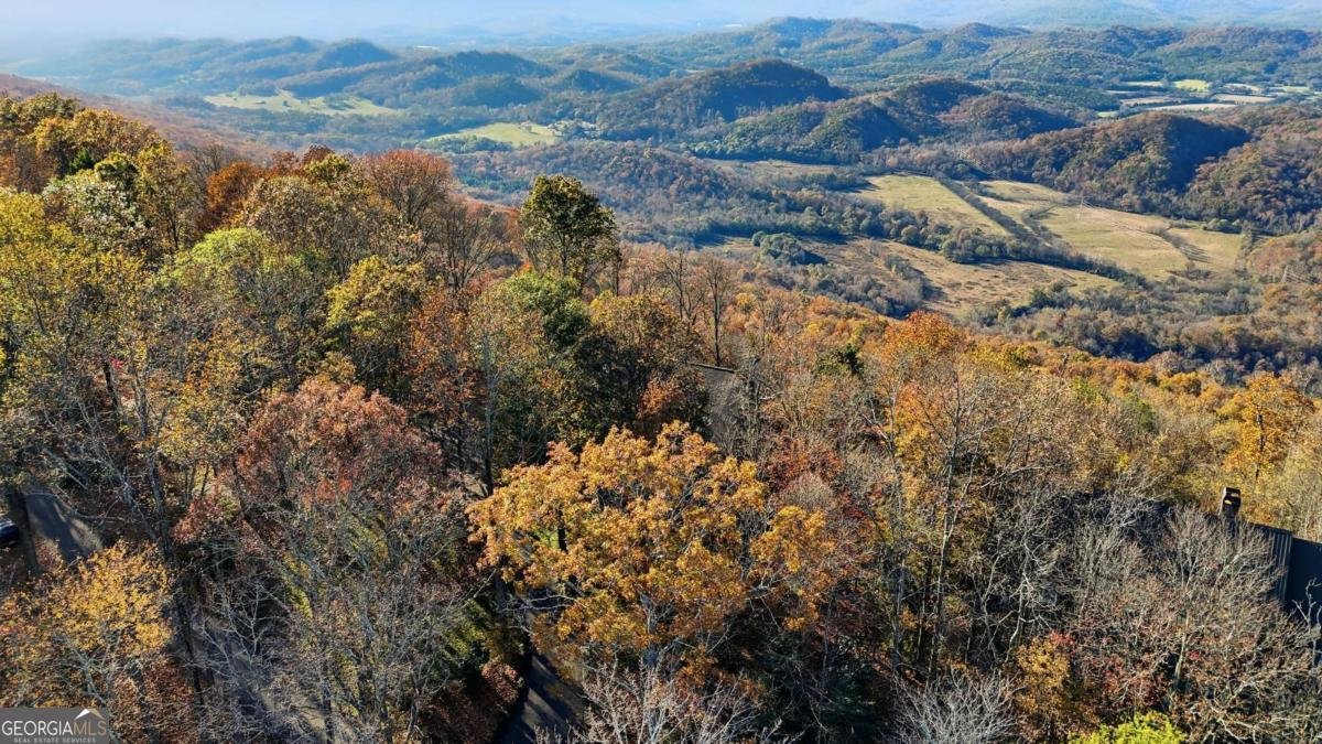 141 Brow Lake Road Lookout Mountain - 49