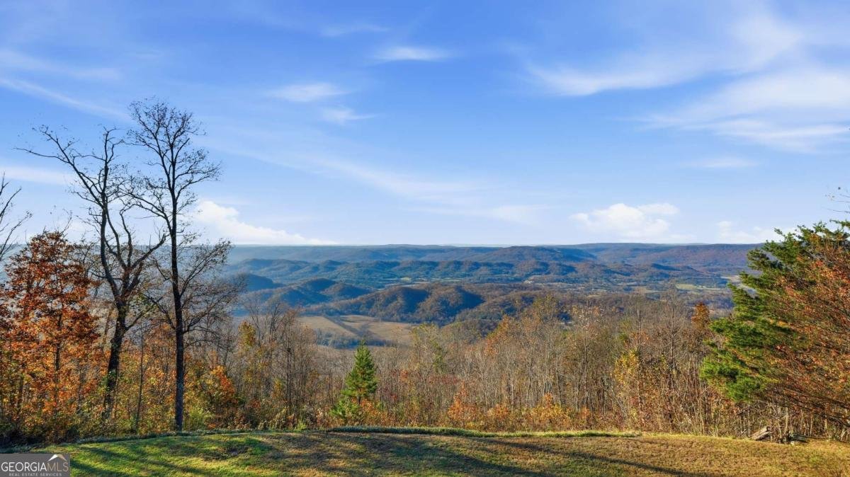 141 Brow Lake Road Lookout Mountain - 7