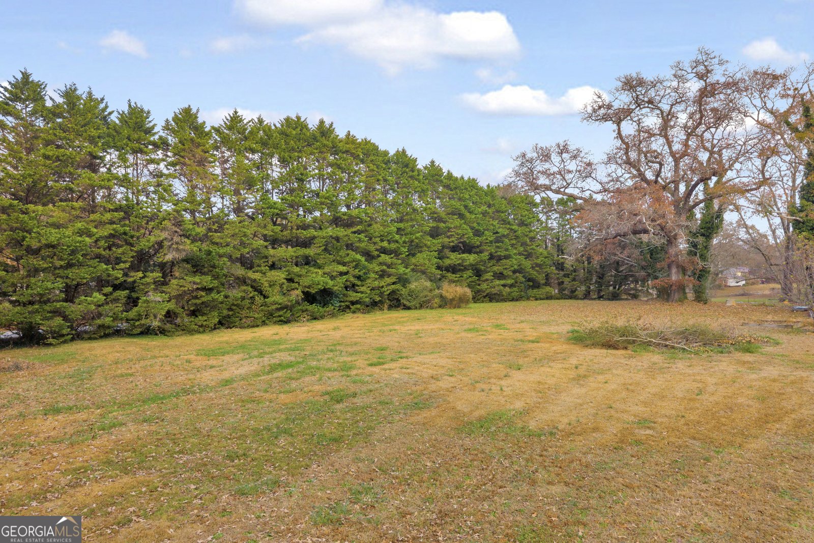 7514 GA HWY 17 Bowersville - 29