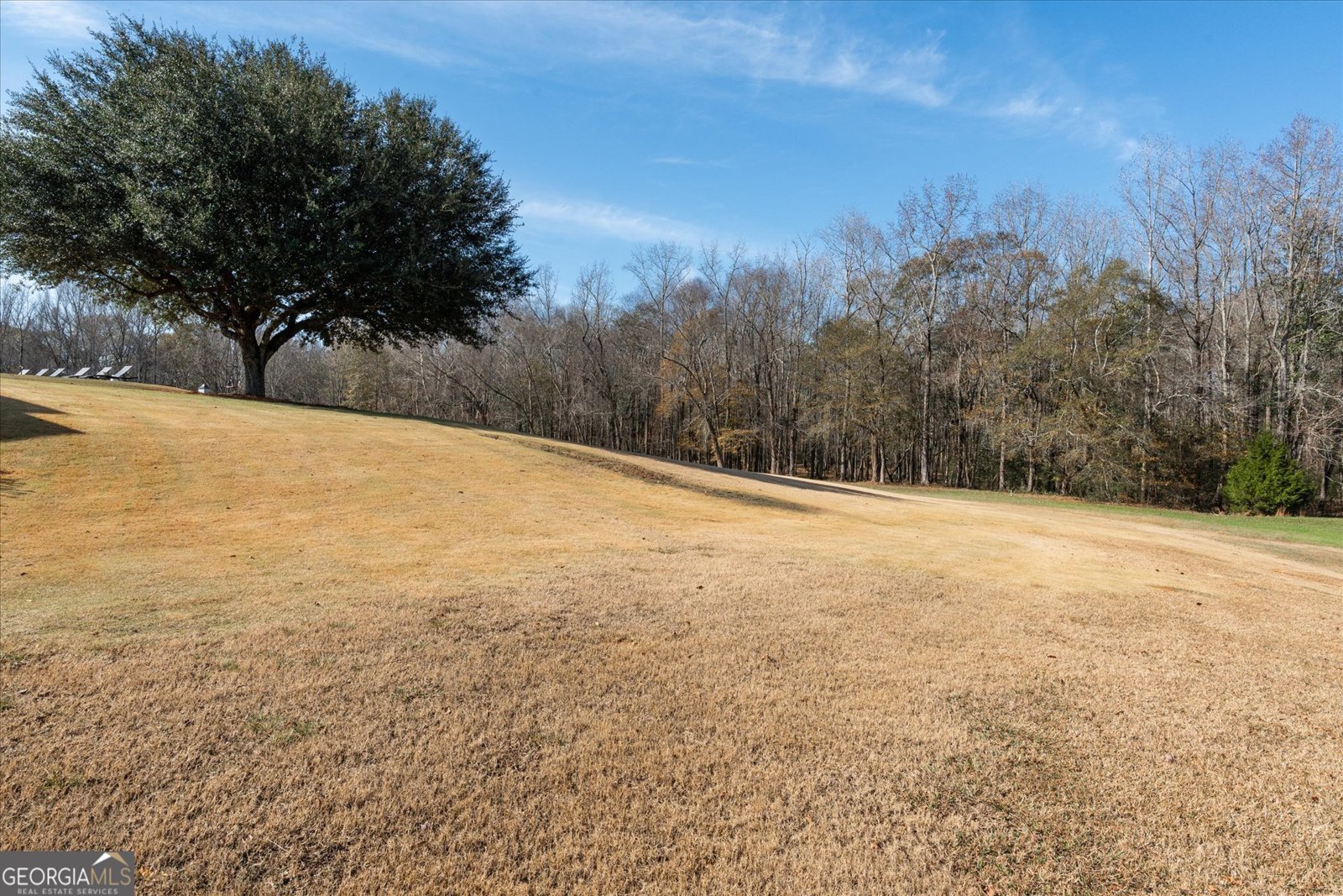 1585 Hays Mill Road Carrollton - 102