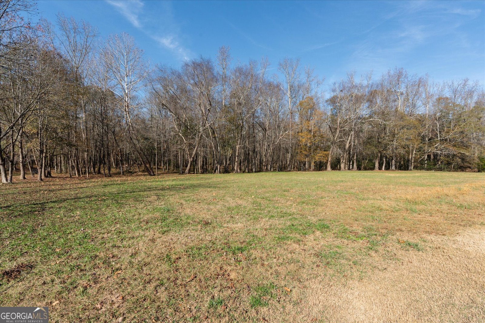 1585 Hays Mill Road Carrollton - 103