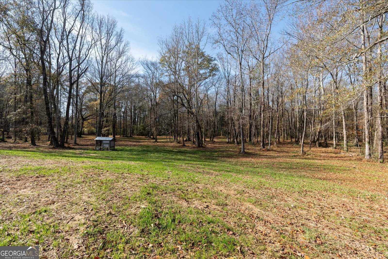 1585 Hays Mill Road Carrollton - 104