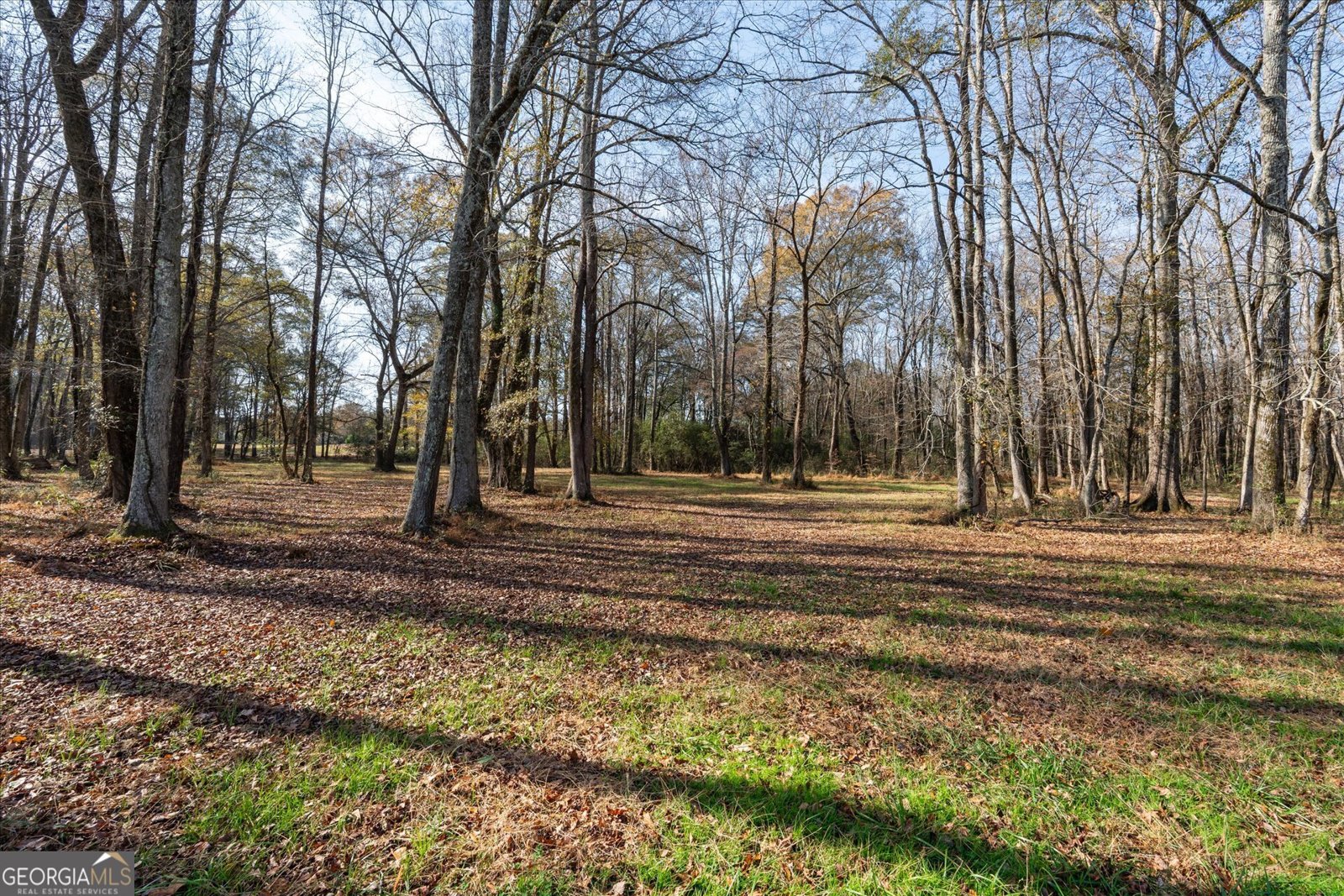 1585 Hays Mill Road Carrollton - 106