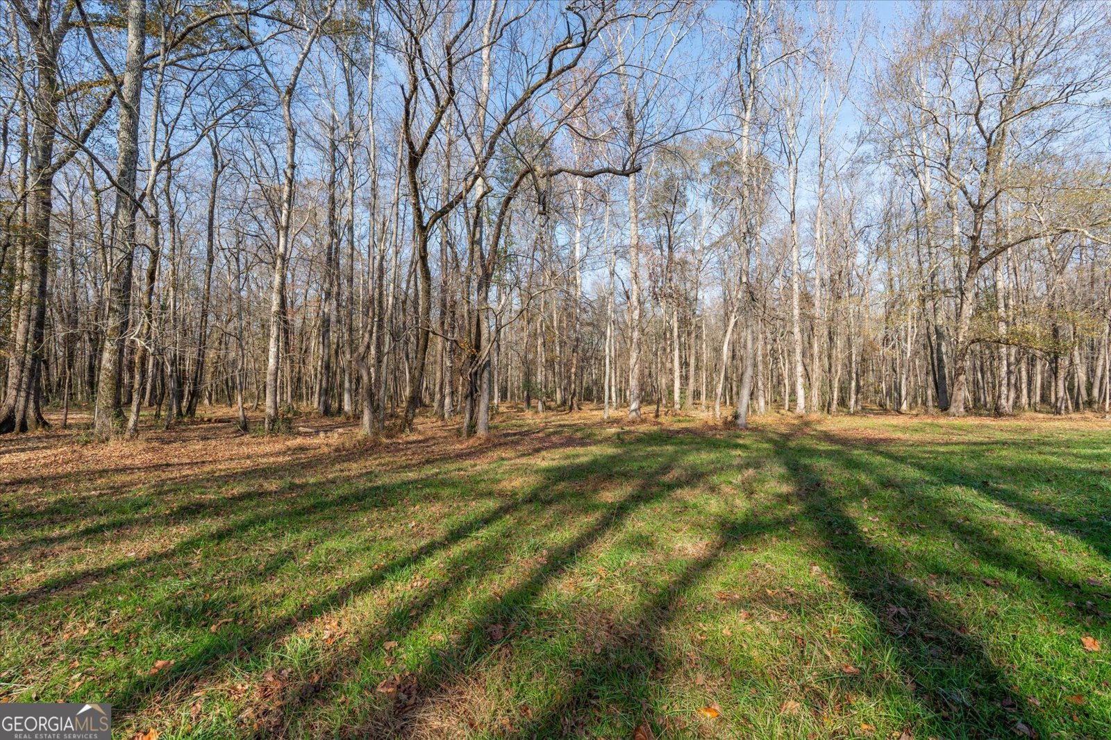 1585 Hays Mill Road Carrollton - 107