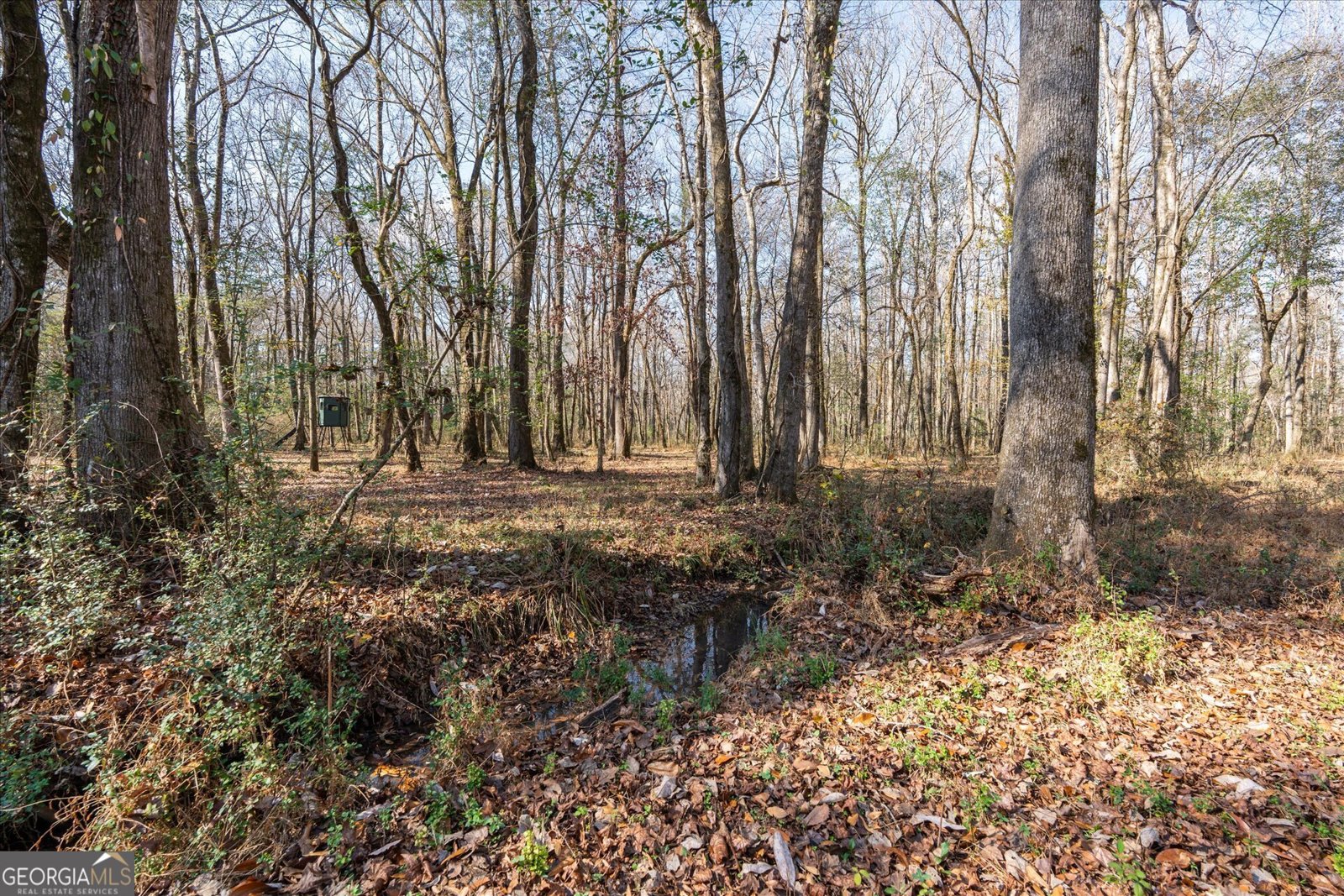 1585 Hays Mill Road Carrollton - 108