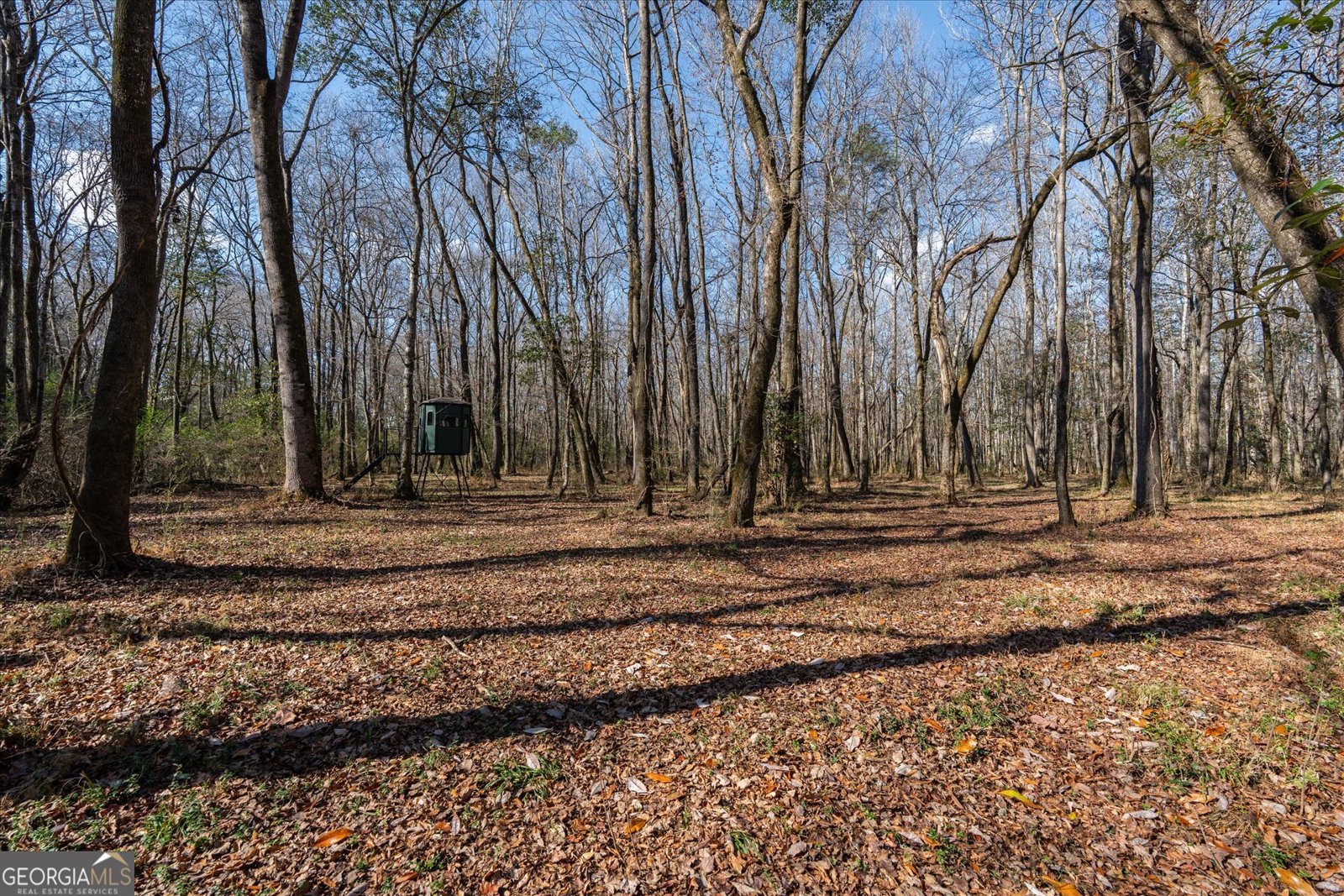 1585 Hays Mill Road Carrollton - 110