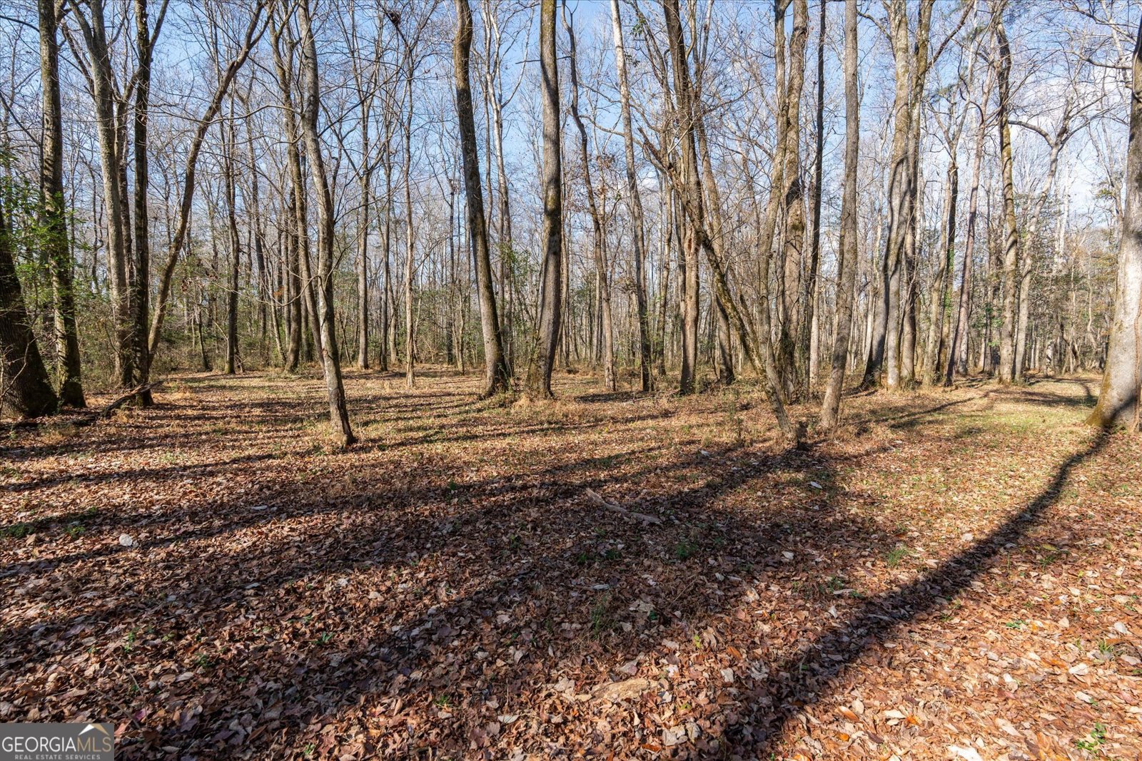 1585 Hays Mill Road Carrollton - 111