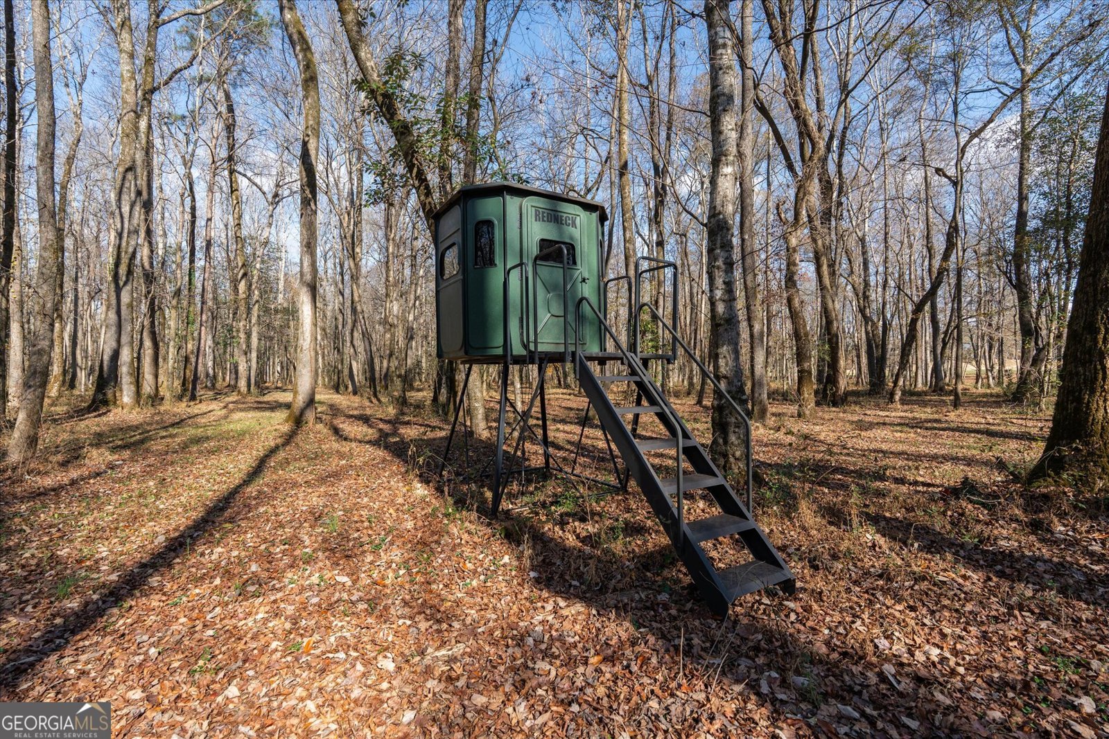 1585 Hays Mill Road Carrollton - 112