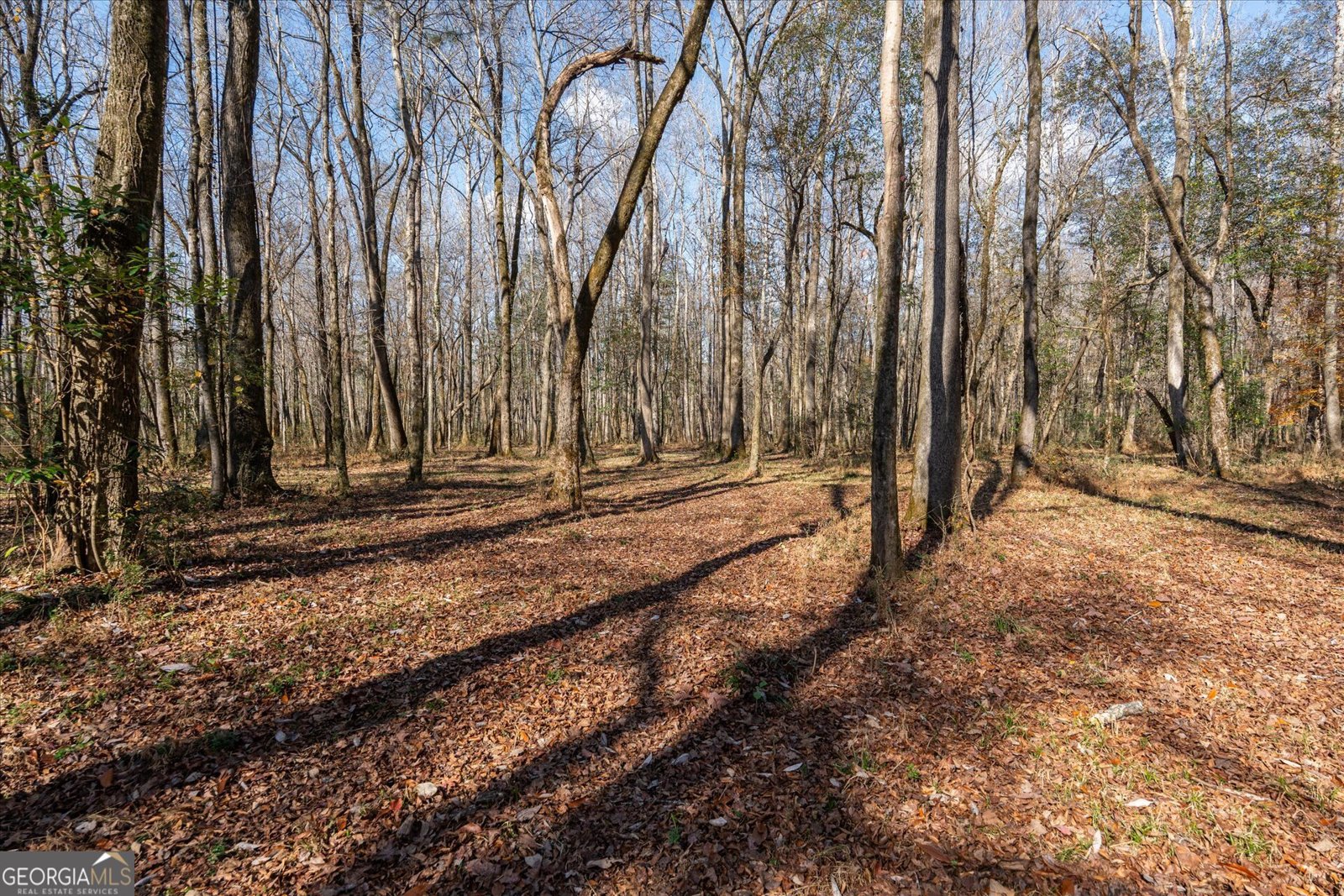 1585 Hays Mill Road Carrollton - 113