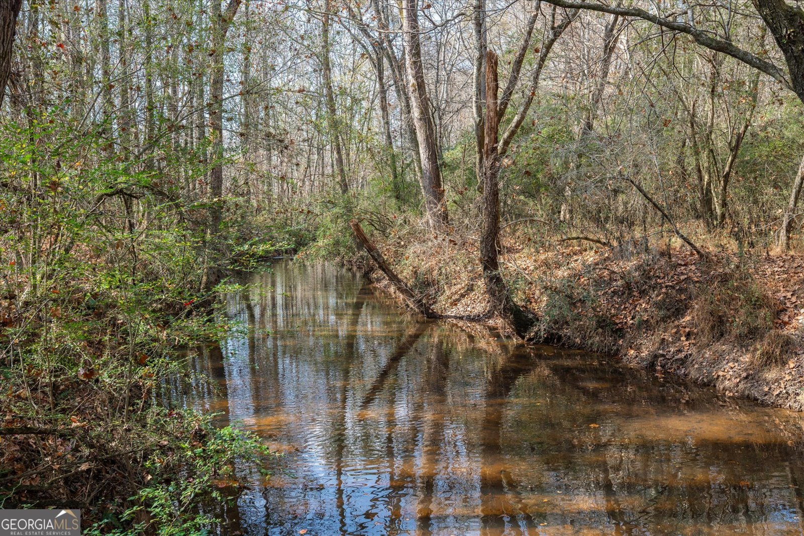 1585 Hays Mill Road Carrollton - 115