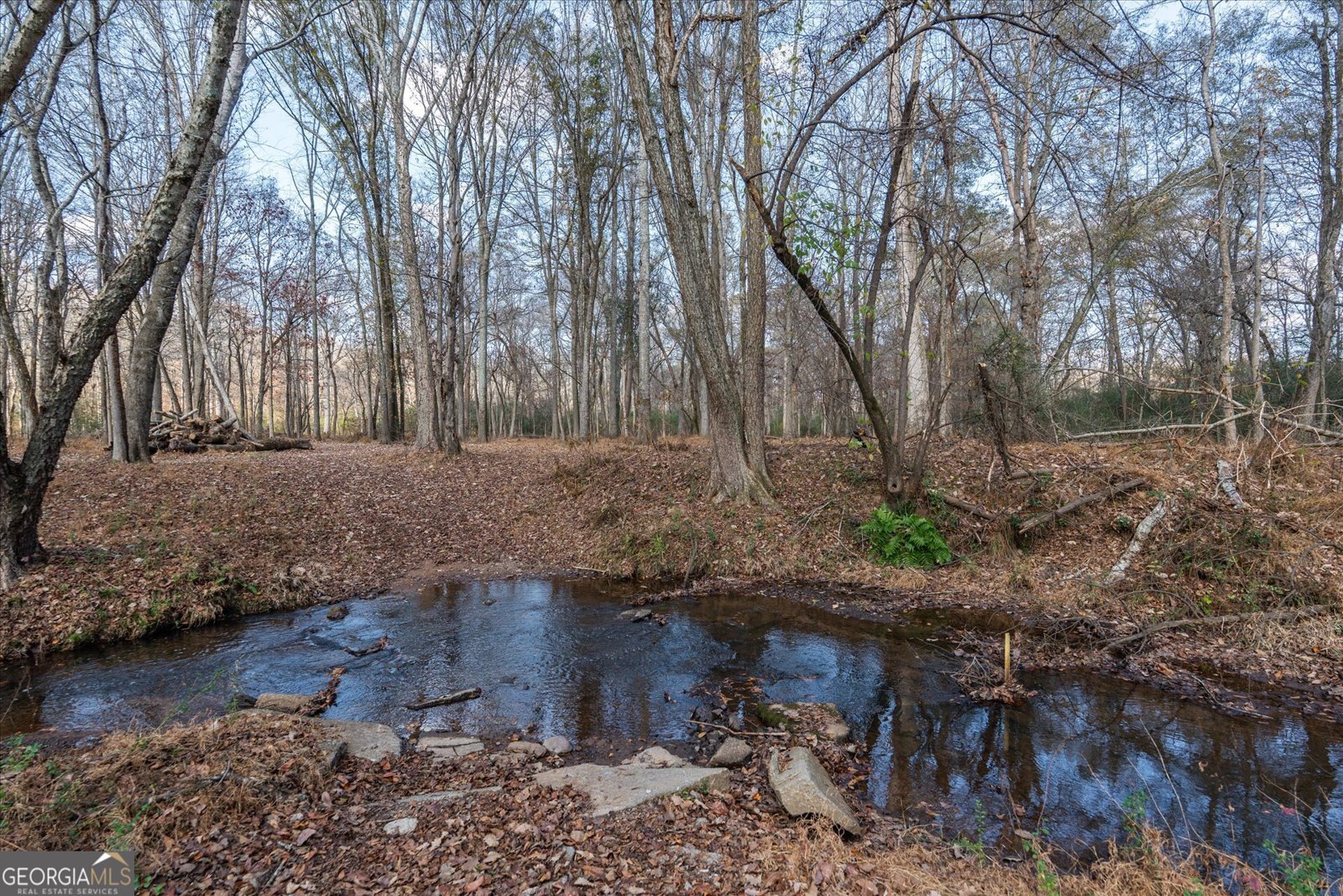 1585 Hays Mill Road Carrollton - 116