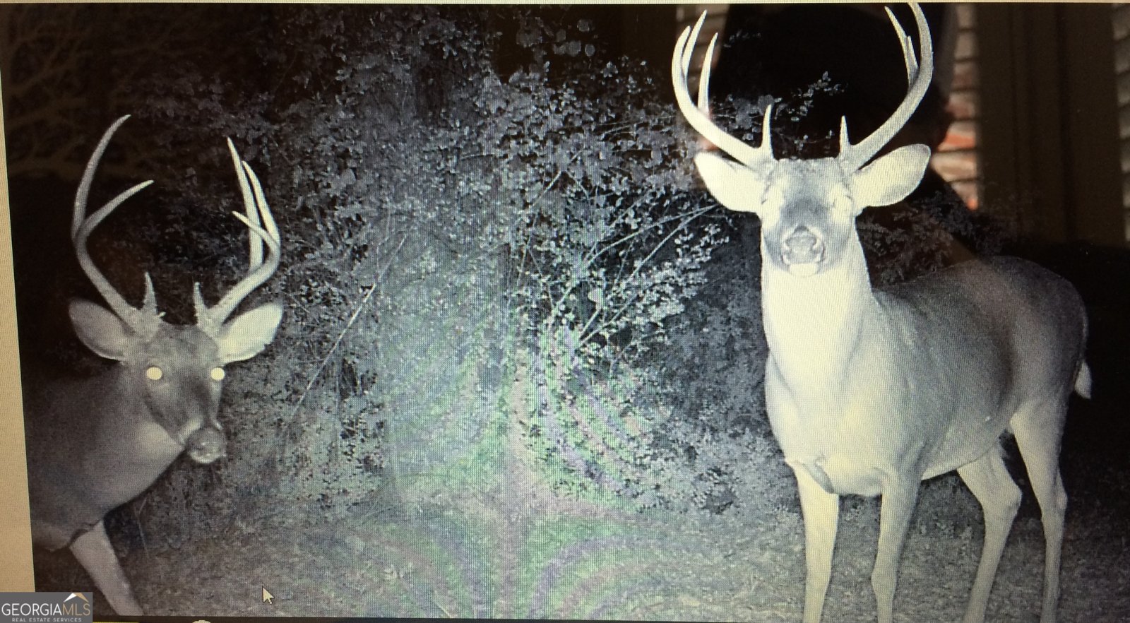 1585 Hays Mill Road Carrollton - 117