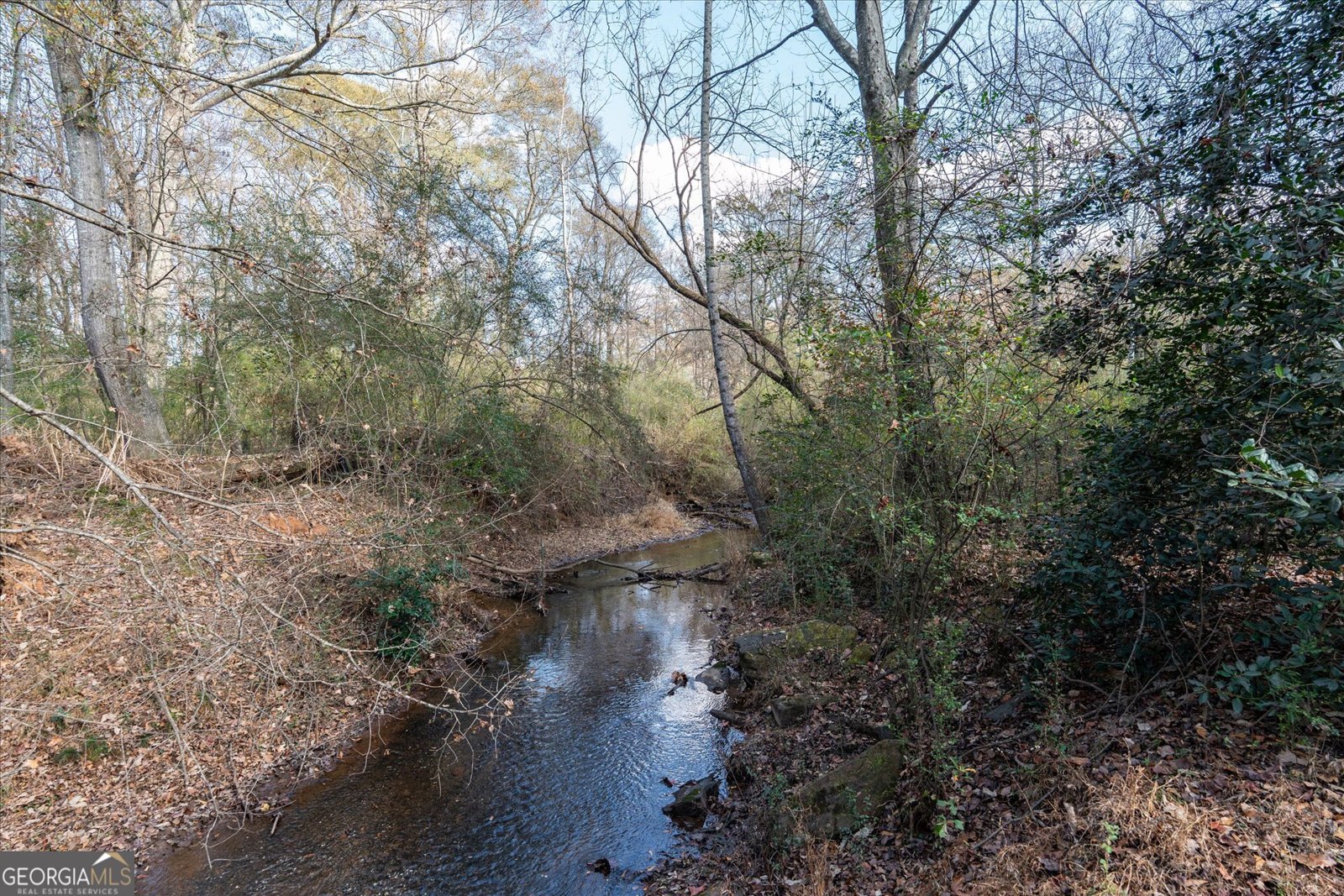 1585 Hays Mill Road Carrollton - 118