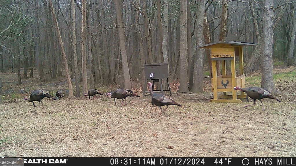 1585 Hays Mill Road Carrollton - 119