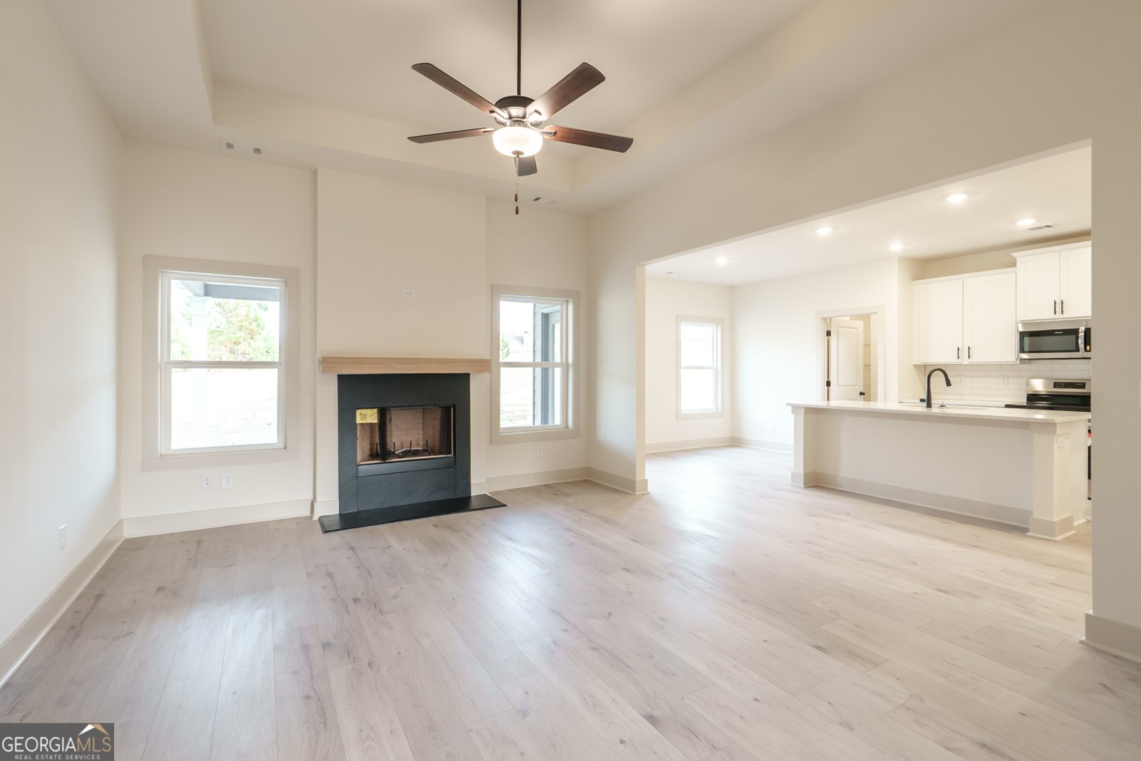 205 Squirrel Run Good Hope - 1