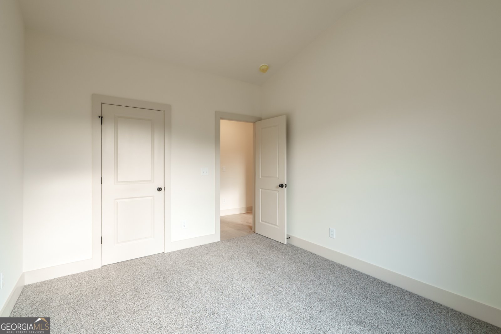 205 Squirrel Run Good Hope - 19