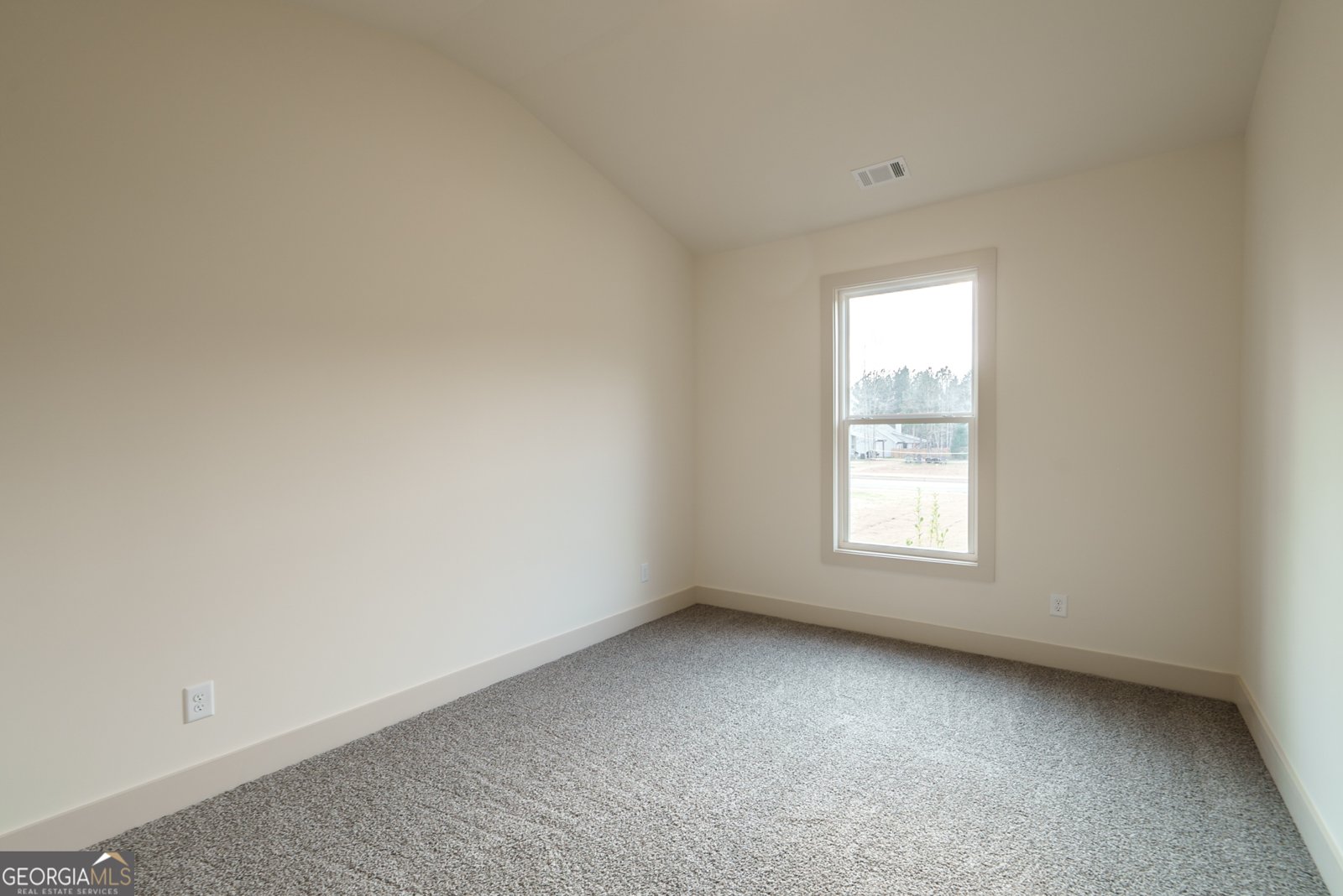 205 Squirrel Run Good Hope - 20