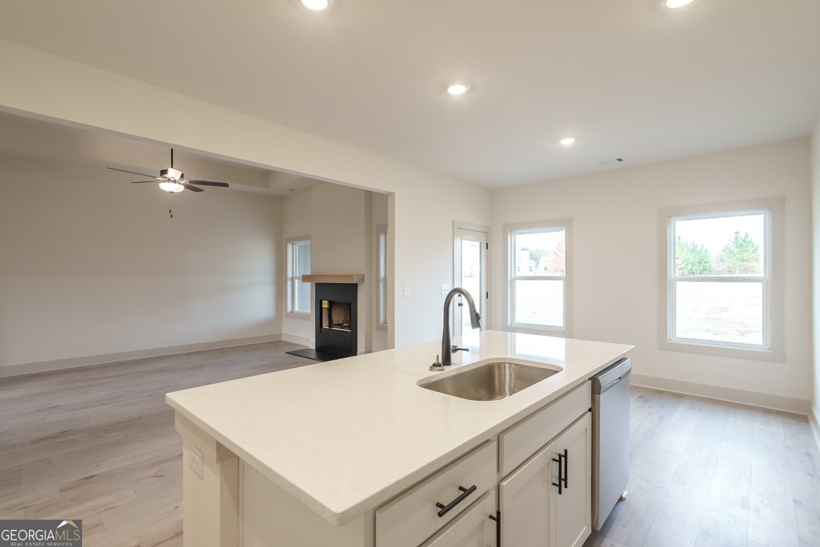 205 Squirrel Run Good Hope - 5