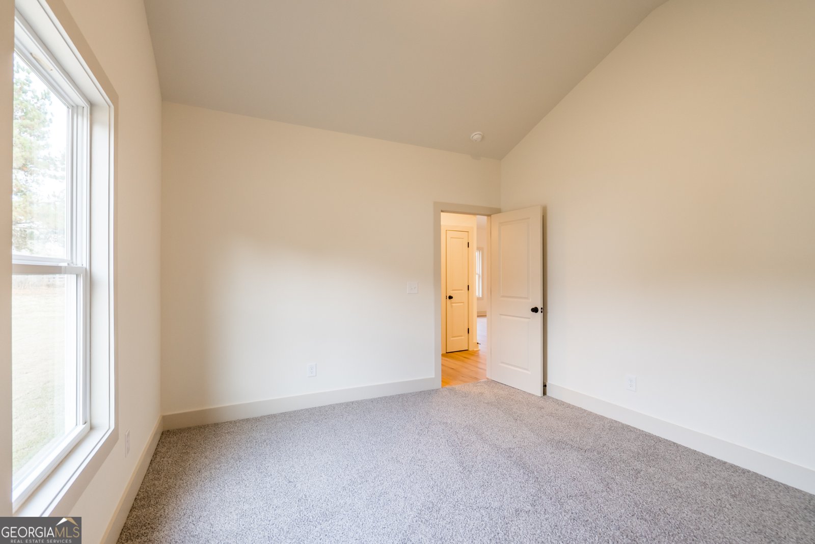 209 Squirrel Run Good Hope - 29