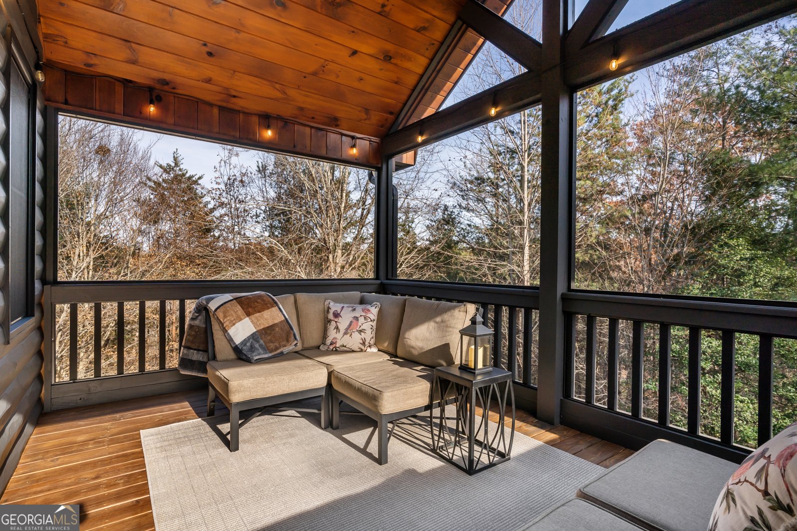 19 Chestnut Hills Lane Blue Ridge - 30