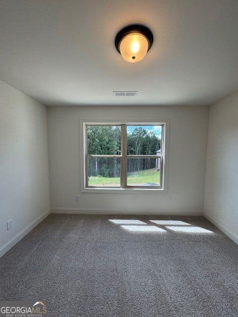 234 Lotus Lane Covington - 28