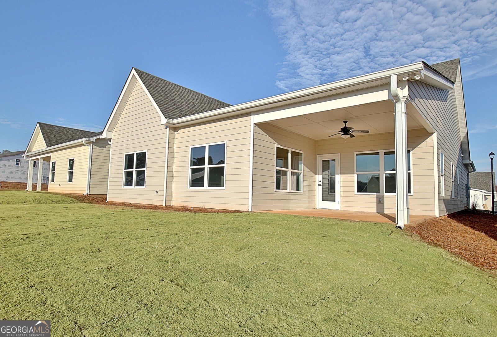 130 Redhaven Drive Senoia - 33