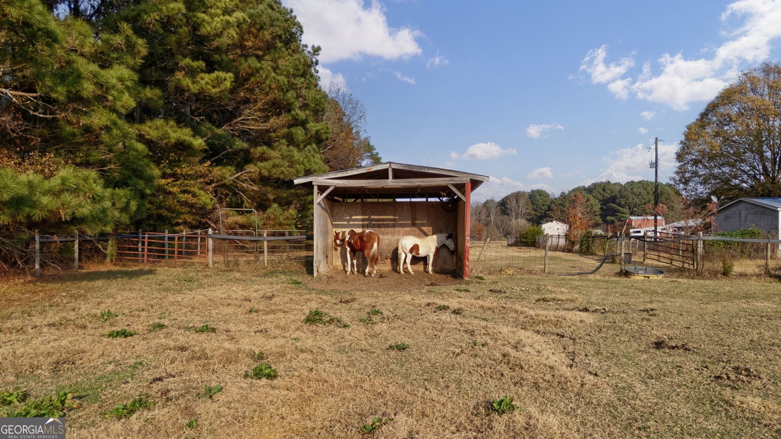 2161 Union Church Road Bishop - 21