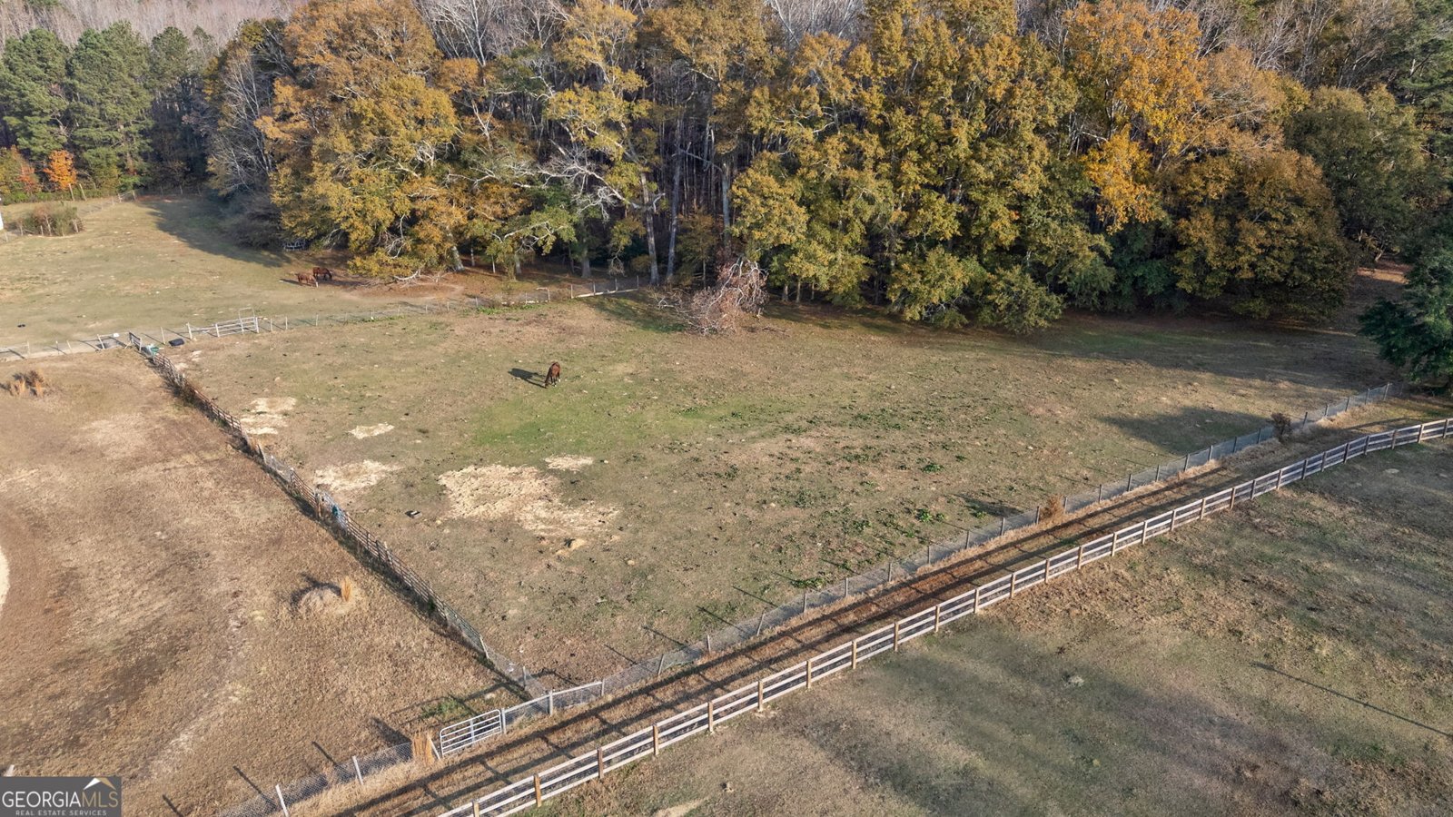 2161 Union Church Road Bishop - 5