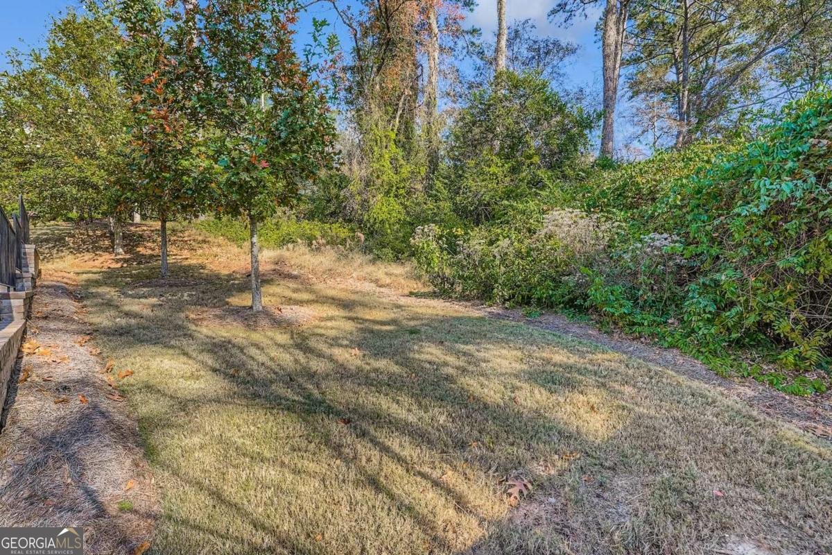 4535 Atley Woods Drive Atlanta - 33