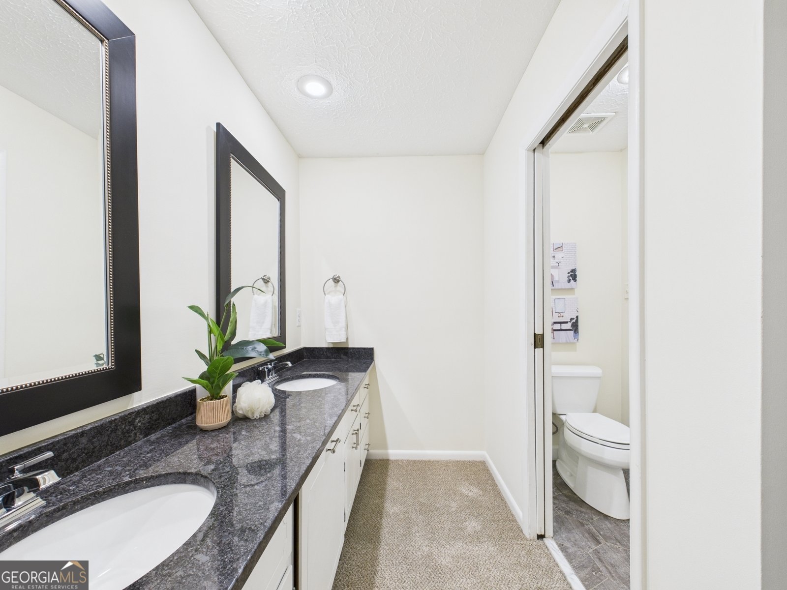 202 Hilltop Circle Macon - 29