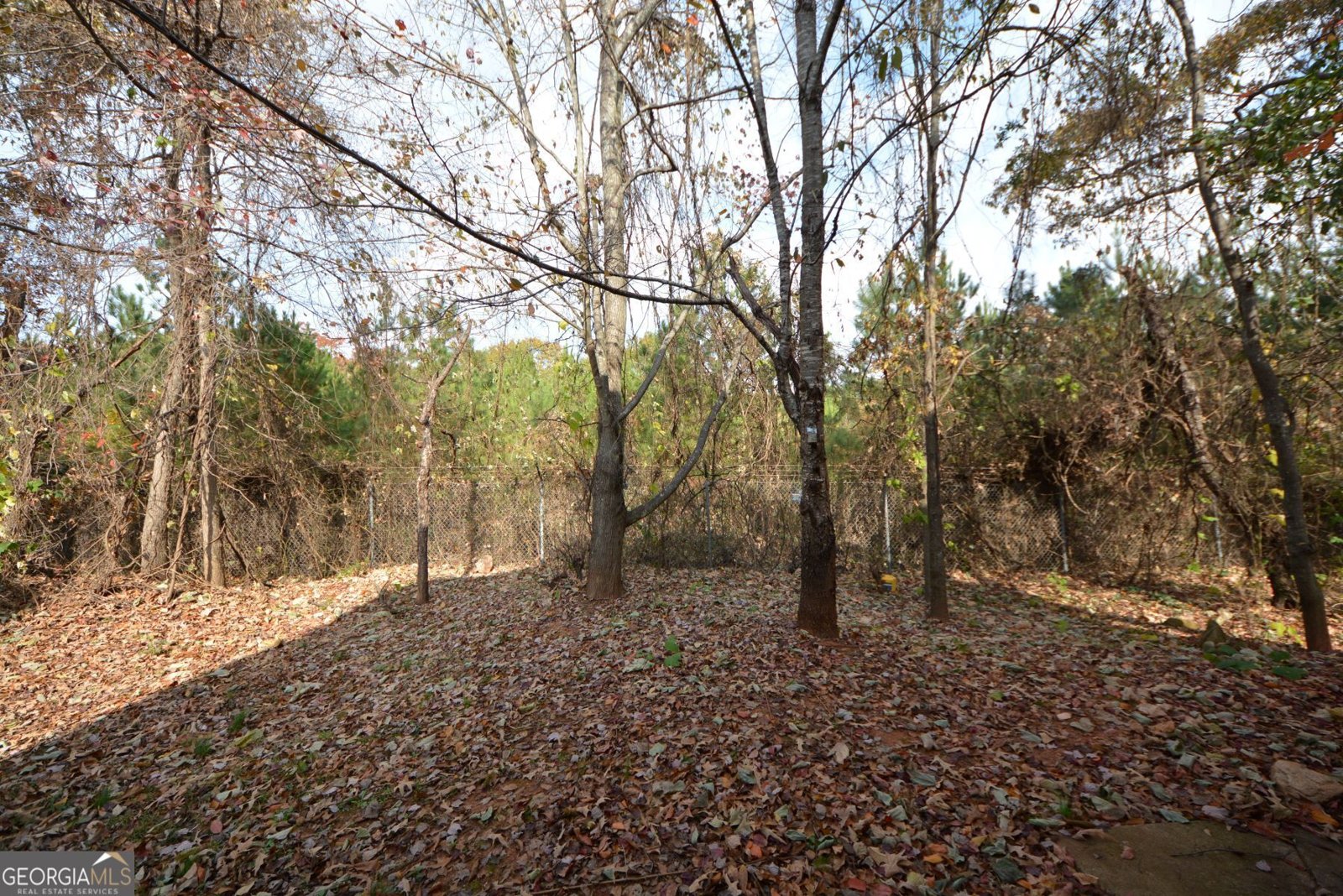 1442 Persimmon Trace Morrow - 3