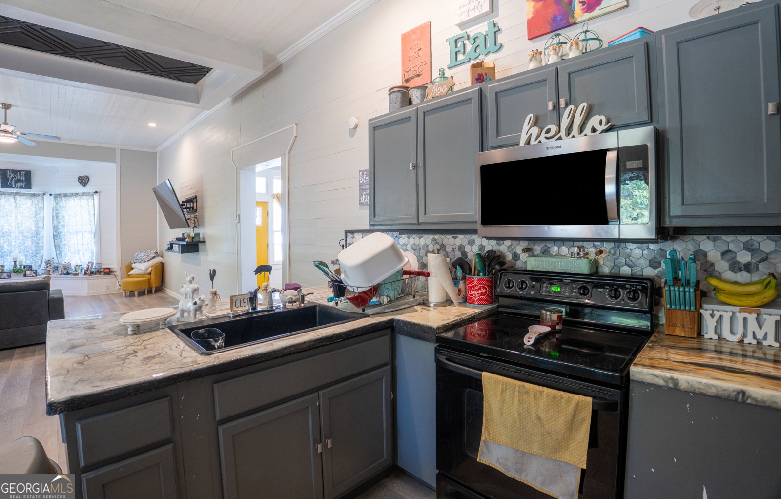 209 McDonald Street Pelham - Photo 10