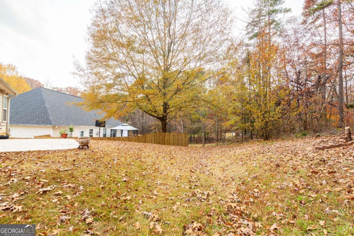 4206 Shoreside Circle Snellville - 27