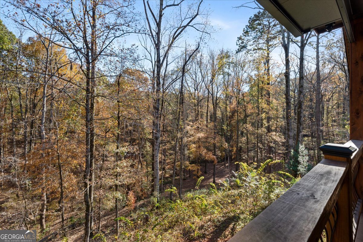 1774 Maynards Mill Road Forsyth - 4