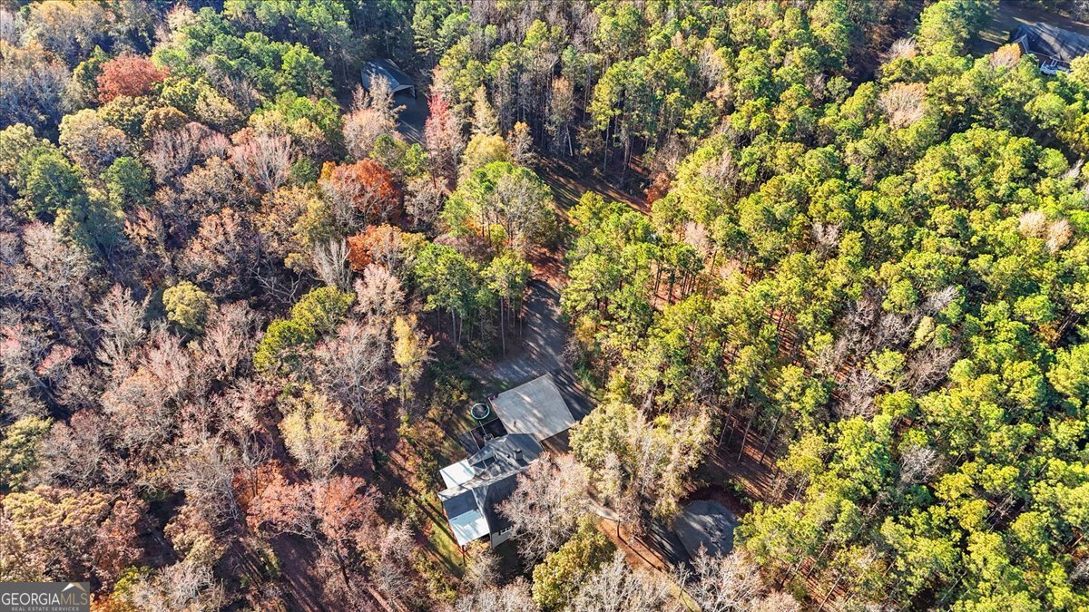 1774 Maynards Mill Road Forsyth - 48