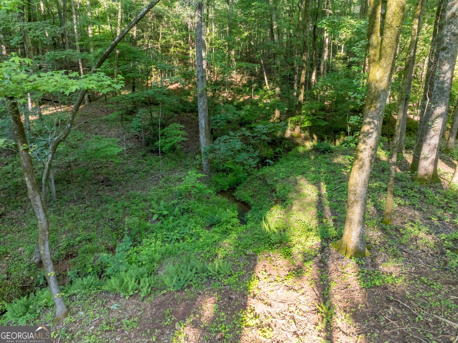 1774 Maynards Mill Road Forsyth - 50