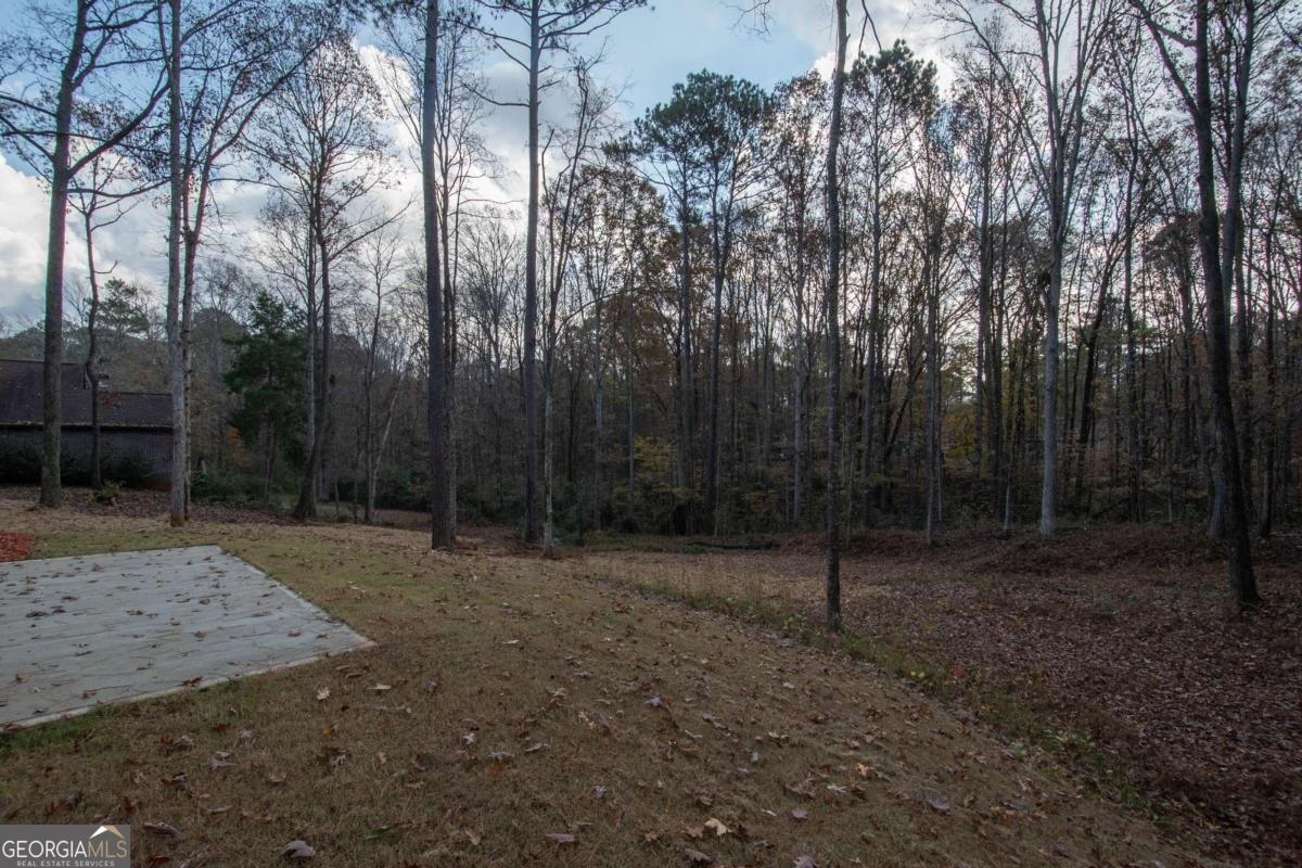 108 Spring Valley Drive Lagrange - 36