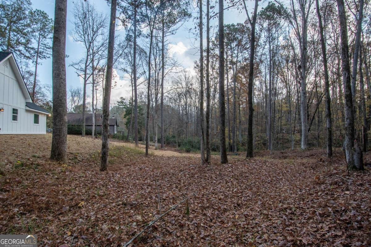 108 Spring Valley Drive Lagrange - 38